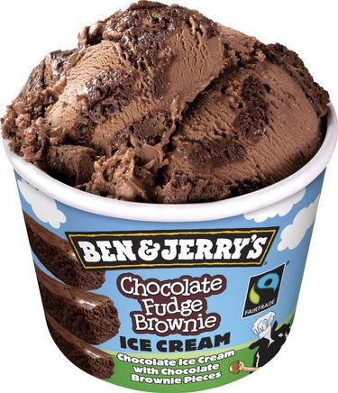 ChocolateFudgeBrowniefrnBen.jpeg