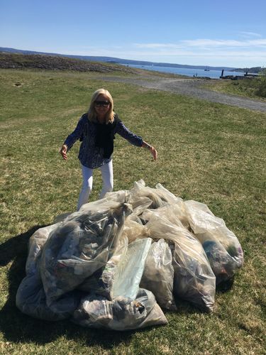 Strandryddedagen2017TorilFlskjerScandicFornebu.jpeg