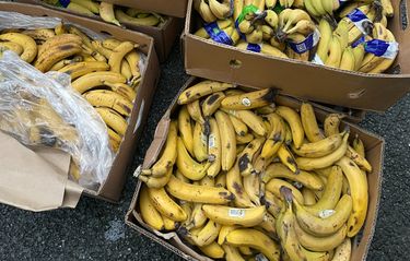 Bananer