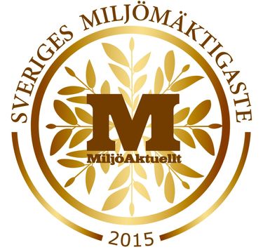 ScandicshllbarhetschefIngerMattssonblandSveriges101miljmktigastepersoner.jpeg